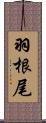 羽根尾 Scroll