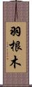 羽根木 Scroll