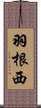 羽根西 Scroll