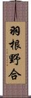 羽根野合 Scroll