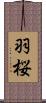 羽桜 Scroll