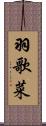 羽歌菜 Scroll