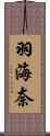 羽海奈 Scroll