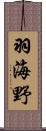 羽海野 Scroll