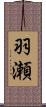 羽瀬 Scroll