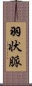 羽状脈 Scroll