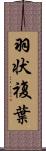 羽状複葉 Scroll