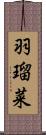 羽瑠菜 Scroll