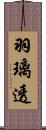 羽璃透 Scroll