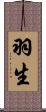 羽生 Scroll