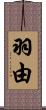 羽由 Scroll