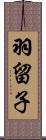 羽留子 Scroll