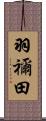 羽禰田 Scroll