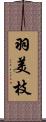 羽美枝 Scroll