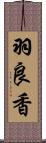 羽良香 Scroll