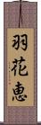 羽花恵 Scroll