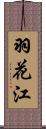 羽花江 Scroll