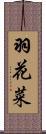 羽花菜 Scroll