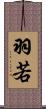 羽若 Scroll