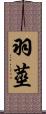 羽莖 Scroll