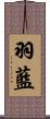 羽藍 Scroll