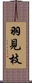 羽見枝 Scroll