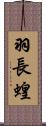 羽長蝗 Scroll