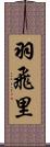 羽飛里 Scroll