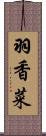羽香菜 Scroll