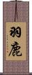 羽鹿 Scroll