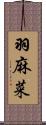 羽麻菜 Scroll