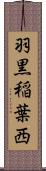 羽黒稲葉西 Scroll