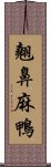 翹鼻麻鴨 Scroll