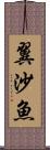 翼沙魚 Scroll