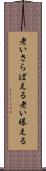 老いさらばえる Scroll