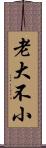 老大不小 Scroll