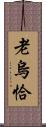 老烏恰 Scroll