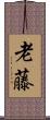 老藤 Scroll