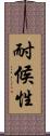 耐候性 Scroll