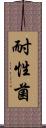 耐性菌 Scroll