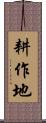 耕作地 Scroll