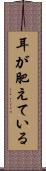 耳が肥えている Scroll