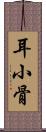 耳小骨 Scroll