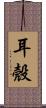 耳殼 Scroll