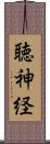 聴神経 Scroll