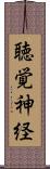 聴覚神経 Scroll