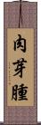 肉芽腫 Scroll