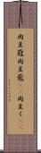 肉豆蒄 Scroll