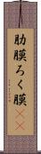 肋膜 Scroll