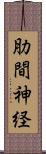 肋間神経 Scroll
